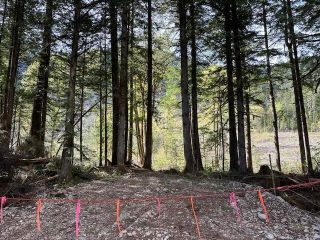 Photo 2: 25685 TRANS CANADA Highway in Hope: Yale – Dogwood Valley Land for sale (Fraser Canyon)  : MLS®# R2872841