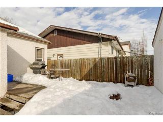 Photo 17: 372 Eugenie Street in Winnipeg: Norwood Residential for sale (2B)  : MLS®# 1703322