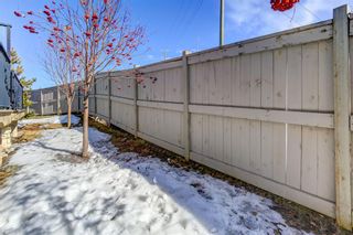 Photo 29: 550 Panatella Walk NW in Calgary: Panorama Hills Row/Townhouse for sale : MLS®# A2038167