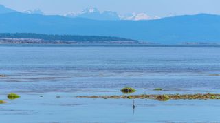 Photo 33: 4859 Ocean Trail in Bowser: PQ Bowser/Deep Bay House for sale (Parksville/Qualicum)  : MLS®# 896430