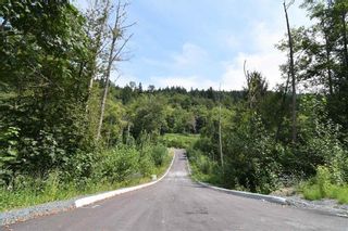 Photo 4: 48875 ELK VIEW ROAD in Chilliwack: Vacant Land for sale : MLS®# R2875218