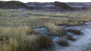 Photo 7: NW-02-029-20W4M NW Other: Drumheller Commercial Land for sale : MLS®# A2098887