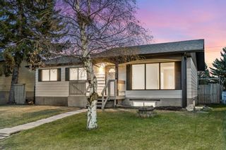 Photo 5: 3035 Dover Ridge Drive SE in Calgary: Dover Detached for sale : MLS®# A1215610