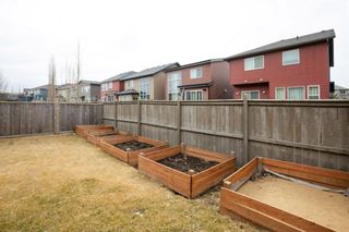 Photo 46: 198 Evansridge Circle NW in Calgary: Evanston Detached for sale : MLS®# A1200290