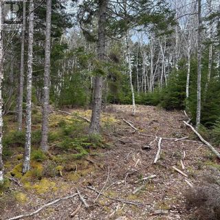 Photo 10: Lot 8 Fire Cove Road in Feltzen South: Vacant Land for sale : MLS®# 202306991