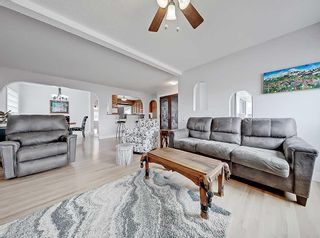 Photo 20: 33 Montrose Crescent NE in Calgary: Winston Heights/Mountview Detached for sale : MLS®# A2125358