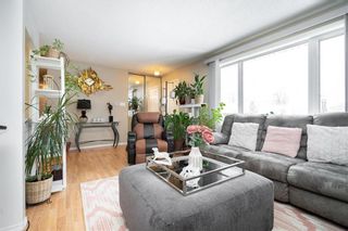 Photo 6: 464 Strathmillan Road in Winnipeg: Jameswood Residential for sale (5F)  : MLS®# 202228587
