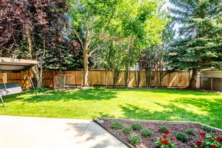 Photo 41: 71 Schubert Hill NW in Calgary: Scenic Acres Detached for sale : MLS®# A2071186