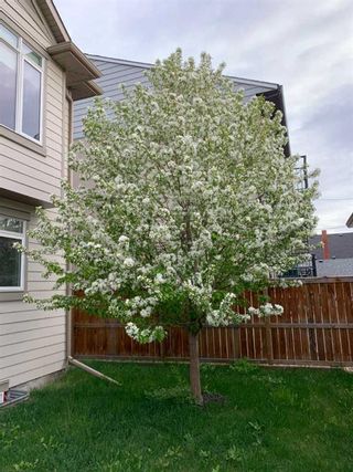 Photo 42: 2116 15 Street SW in Calgary: Bankview Detached for sale : MLS®# A2122131
