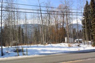 Photo 7: LOT 40-43 16 Highway in Smithers: Smithers - Rural Land for sale (Smithers And Area (Zone 54))  : MLS®# R2678651