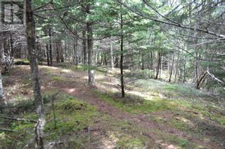 Photo 35: Lot 1 Blue Rocks Road in Garden Lots: Vacant Land for sale : MLS®# 202313149