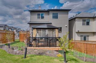 Photo 4: 142 Nolanhurst Rise NW in Calgary: Nolan Hill Detached for sale : MLS®# A1214654