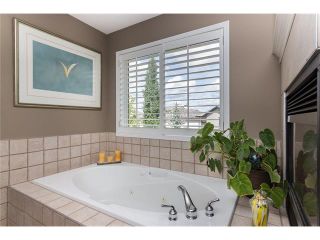Photo 22: 402 MT DOUGLAS Green SE in Calgary: McKenzie Lake House for sale : MLS®# C4066841