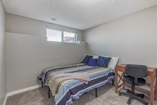 Photo 38: 232 Evansborough Way NW in Calgary: Evanston Detached for sale : MLS®# A2053484