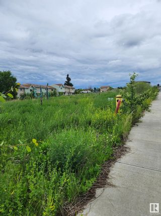 Photo 5: 12 Avenue & 16 Street: Cold Lake Vacant Lot/Land for sale : MLS®# E4327054
