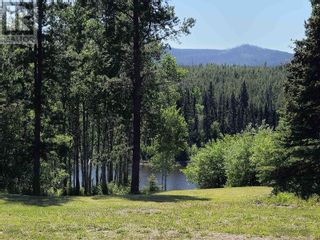 Photo 33: 24410 VERDUN BISHOP FOREST SERVICE ROAD in Burns Lake: House for sale : MLS®# R2786528