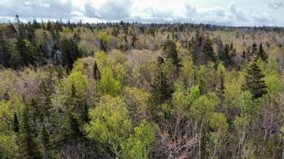 Photo 4: Lot Broad Cove Road in Culloden: Digby County Vacant Land for sale (Annapolis Valley)  : MLS®# 202309605