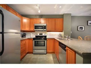 Photo 5: 303 15 SMOKEY SMITH Place in New Westminster: GlenBrooke North Condo for sale in "THE WESTERLY" : MLS®# V981609
