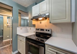 Photo 12: 601 323 13 Avenue SW in Calgary: Beltline Apartment for sale : MLS®# A2013299