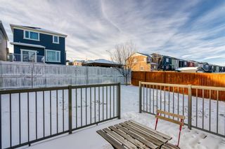 Photo 31: 6 Evanscrest Terrace NW in Calgary: Evanston Detached for sale : MLS®# A2015004