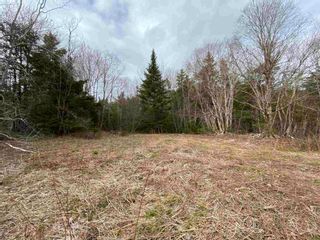 Photo 16: Sherbrooke Road in Greenvale: 108-Rural Pictou County Vacant Land for sale (Northern Region)  : MLS®# 202111683