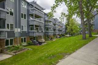 Photo 29: 308 816 89 Avenue SW in Calgary: Haysboro Apartment for sale : MLS®# A1228379