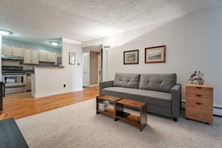 Photo 6: 303 934 2 Avenue NW in Calgary: Sunnyside Apartment for sale : MLS®# A2106264
