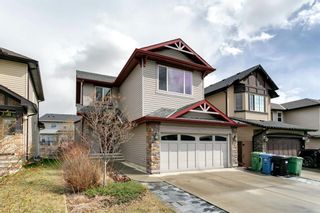 Photo 42: 31 BRIGHTONCREST Common SE in Calgary: New Brighton Detached for sale : MLS®# A1102901