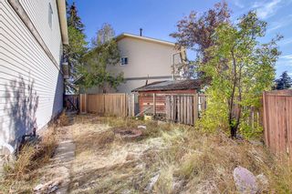 Photo 47: 138 Castlebrook Rise NE in Calgary: Castleridge Semi Detached (Half Duplex) for sale : MLS®# A2006589