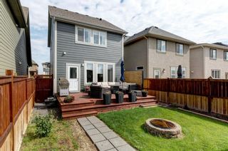 Photo 29: 317 Marquis Heights SE in Calgary: Mahogany Detached for sale : MLS®# A1229572