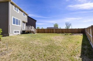 Photo 25: 46 Evansborough Crescent NW in Calgary: Evanston Detached for sale : MLS®# A1228609