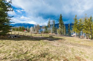 Photo 33: 4902 Parker Road in Eagle Bay: Vacant Land for sale : MLS®# 10132680