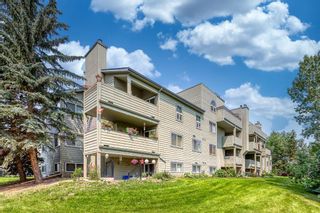 Photo 15: 4278 90 Glamis Drive SW in Calgary: Glamorgan Apartment for sale : MLS®# A1131659