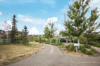Photo 38: 39 Taravista Drive NE in Calgary: Taradale Detached for sale : MLS®# A1137654