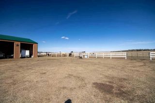 Photo 28: 4540 Township Road 340: Rural Mountain View County Detached for sale : MLS®# A2124737