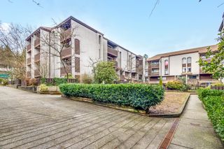 Photo 5: 20 385 GINGER Drive in New Westminster: Fraserview NW Condo for sale : MLS®# R2751283