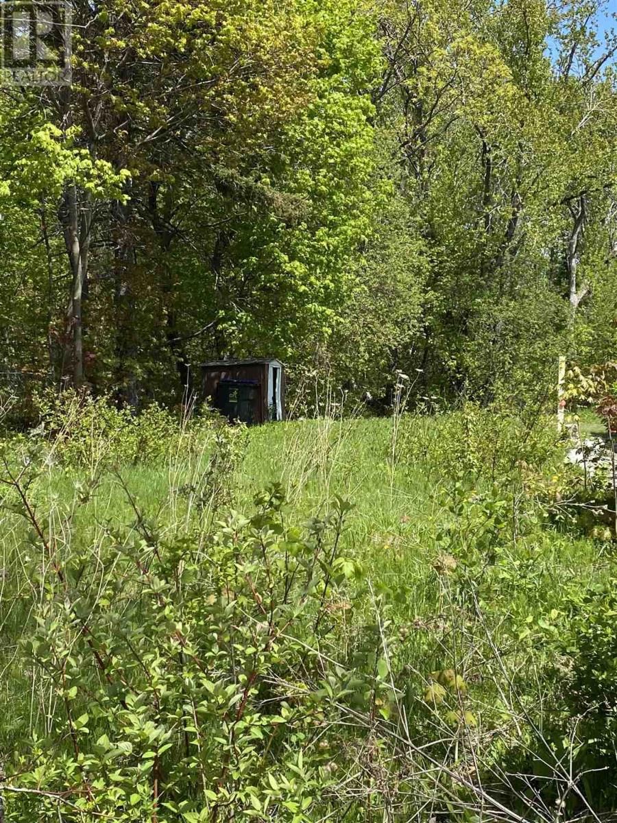 Main Photo: 50 Stevens ST in Sault Ste. Marie: Vacant Land for sale : MLS®# SM232835