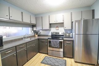 Photo 8: 46 35 Wynford Drive in Winnipeg: East Transcona Condominium for sale (3M)  : MLS®# 202110154