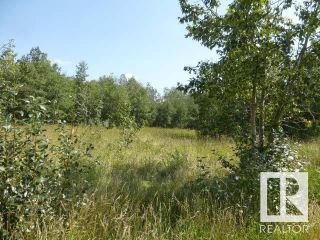 Photo 11: 40 26555 Twp 481: Rural Leduc County Vacant Lot/Land for sale : MLS®# E4323539