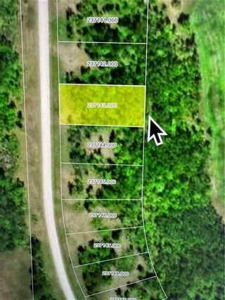 Photo 4: 35 North Winds Road: Lake Manitoba Narrows Residential for sale (R19)  : MLS®# 202303296