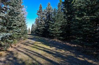 Photo 26: 20.02 Acres +/- NW of Cochrane in Rural Rocky View County: Rural Rocky View MD Land for sale : MLS®# A1065950