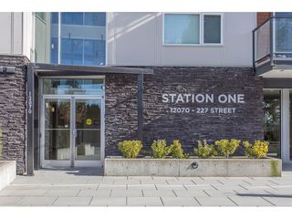 Photo 1: 208 12070 227 Street in Maple Ridge: East Central Condo for sale in "Station One" : MLS®# R2241707