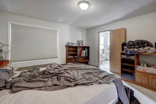 Photo 18: 136 Citadel Crest Circle NW in Calgary: Citadel Detached for sale : MLS®# A2130274
