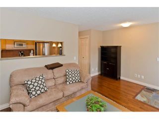 Photo 19: 223 31 Avenue NW in Calgary: Tuxedo Park House for sale : MLS®# C4072300
