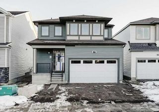 Main Photo: 47 Cityline Point NE in Calgary: Cityscape Detached for sale : MLS®# A2114698