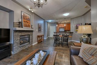 Photo 18: 233 20 Discovery Ridge Close SW in Calgary: Discovery Ridge Apartment for sale : MLS®# A1217013