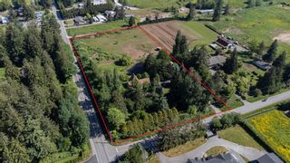Photo 7: 24821 32 Avenue in Langley: Aldergrove Langley House for sale : MLS®# R2760902