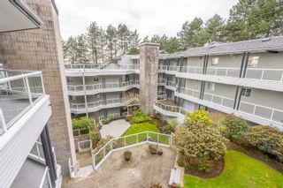Photo 31: 403 2733 ATLIN Place in Coquitlam: Coquitlam East Condo for sale in "Atlin Court" : MLS®# R2866834