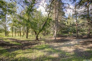 Photo 41: Bode Acreage RM of Cana No. 214 in Cana: Residential for sale (Cana Rm No. 214)  : MLS®# SK904098