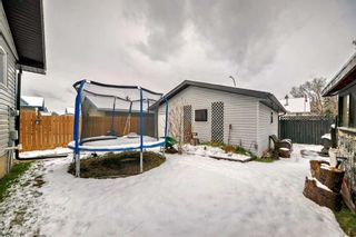 Photo 45: 3431 32A Avenue SE in Calgary: Dover Detached for sale : MLS®# A2126947